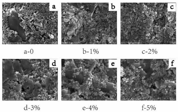 图8_不同质量分数PMS的无机涂层的SEM图